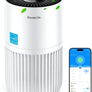 Mini Air Purifier